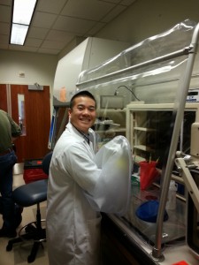 Undergrad Calvin Lau working in the anaerobic chamber. 